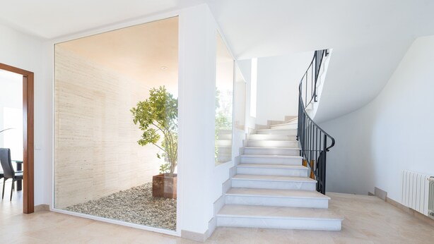 Un escalier moderne avec une cloison en verre et une plante en pot.