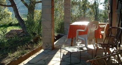 Villa 8 pers, pool & villa south facing, Bagnols-en-F, very beautiful site