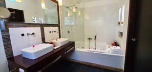 Combined shower/bathtub, jetted bath, hair dryer, towels