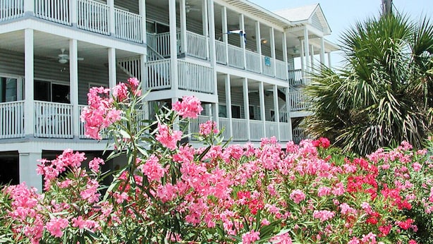 A multi-story building with balconies and a garden with pink flowers in the foreground. - Tybee Sands 4A | Steps to Beach, Dining, Shops (Tybee Island)