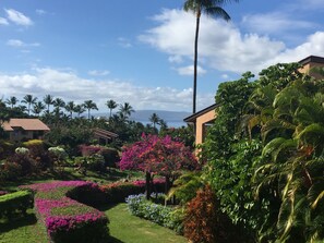 A lush garden with various flowering plants and a palm tree, surrounded by buildings with a view of the ocean.