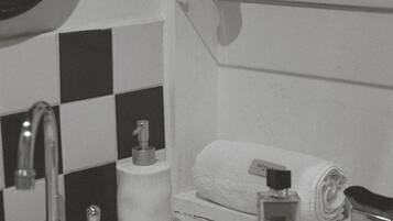 A bathroom with a sink, mirror, and shelves with toiletries.