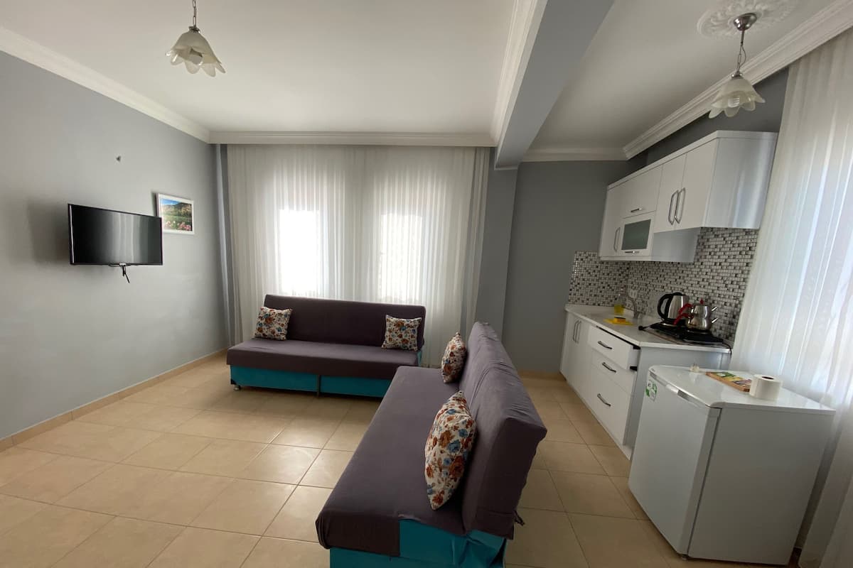 A compact living space with a sofa, a television, a kitchenette, and a dining area.