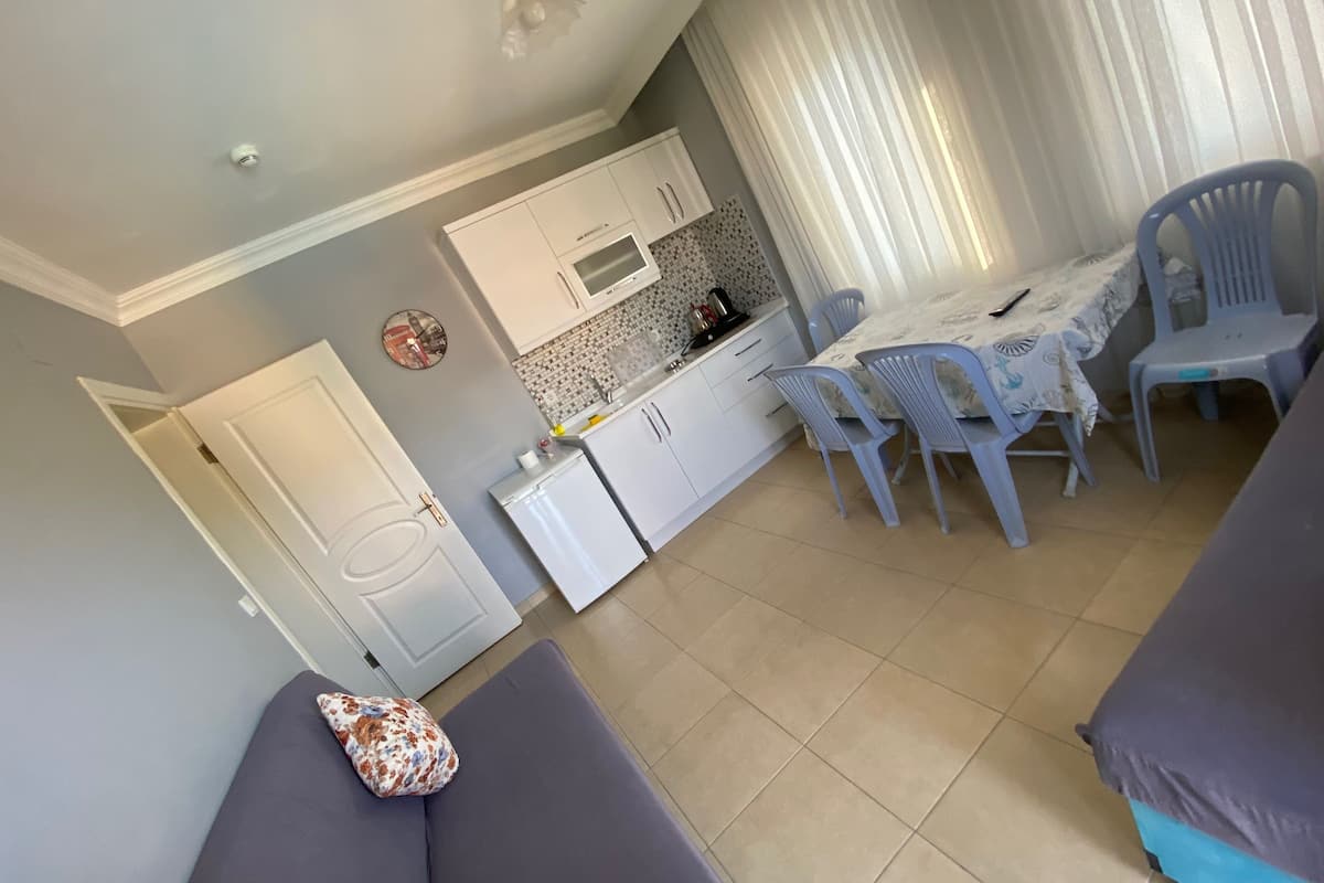 A compact living space with a kitchenette, dining area, and seating.