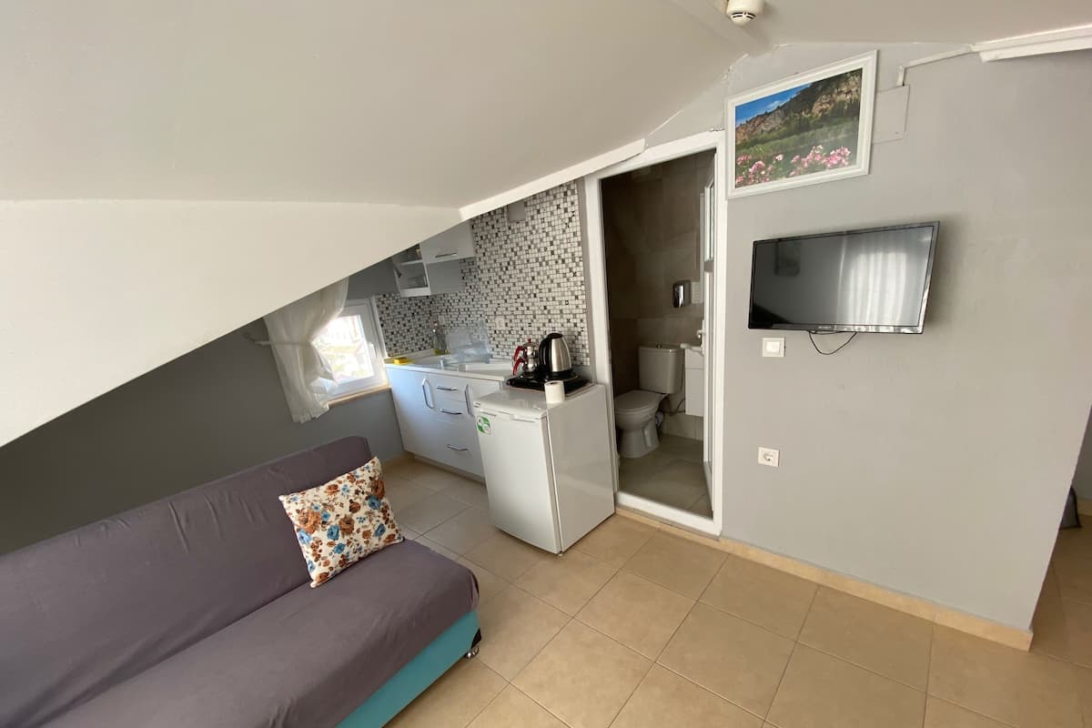 A compact living space with a kitchenette, a sofa with a patterned pillow, a television, and a small bathroom.