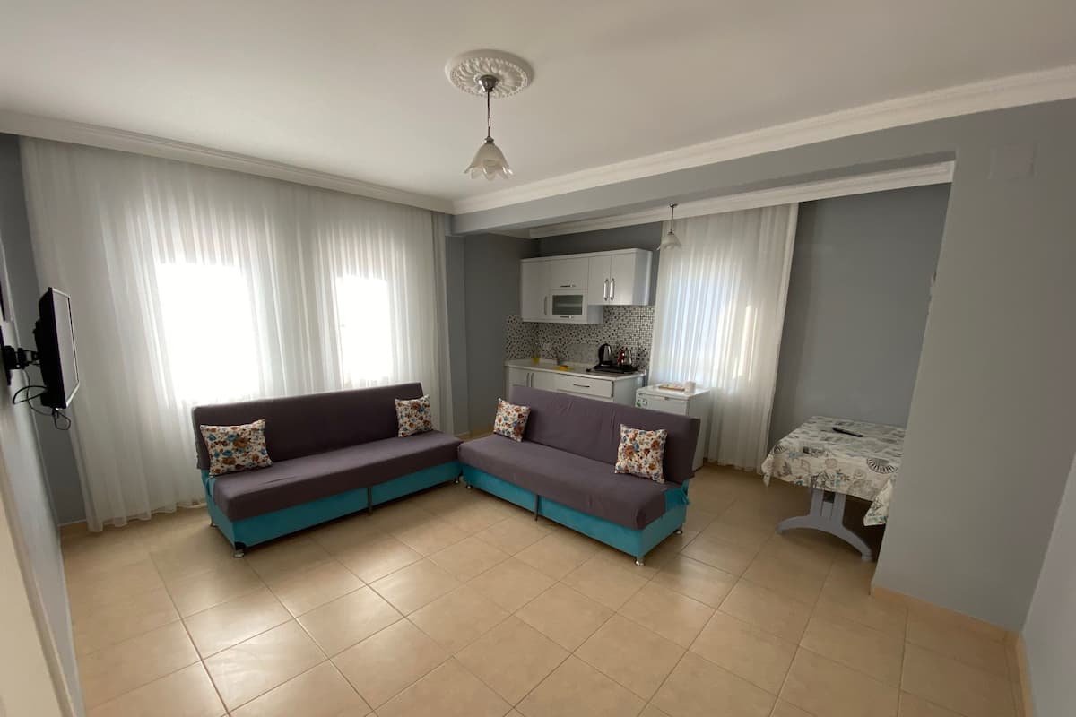 A living room with a sofa, a small kitchen area, and a dining table.