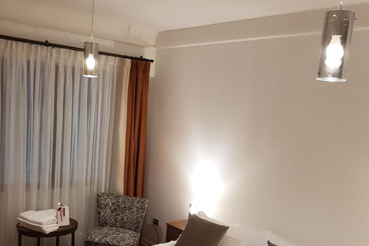 Camera Business con letto matrimoniale o 2 letti singoli, 1 camera da letto, per soggetti allergici | Una scrivania, Wi-Fi gratuito, lenzuola