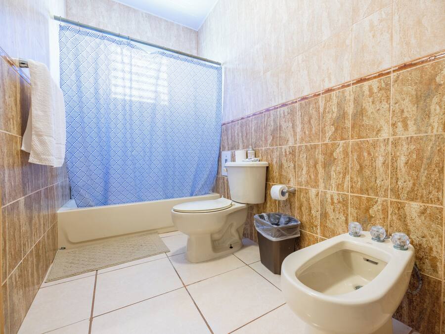 A bathroom with a toilet, bidet, and shower curtain.