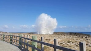 해변