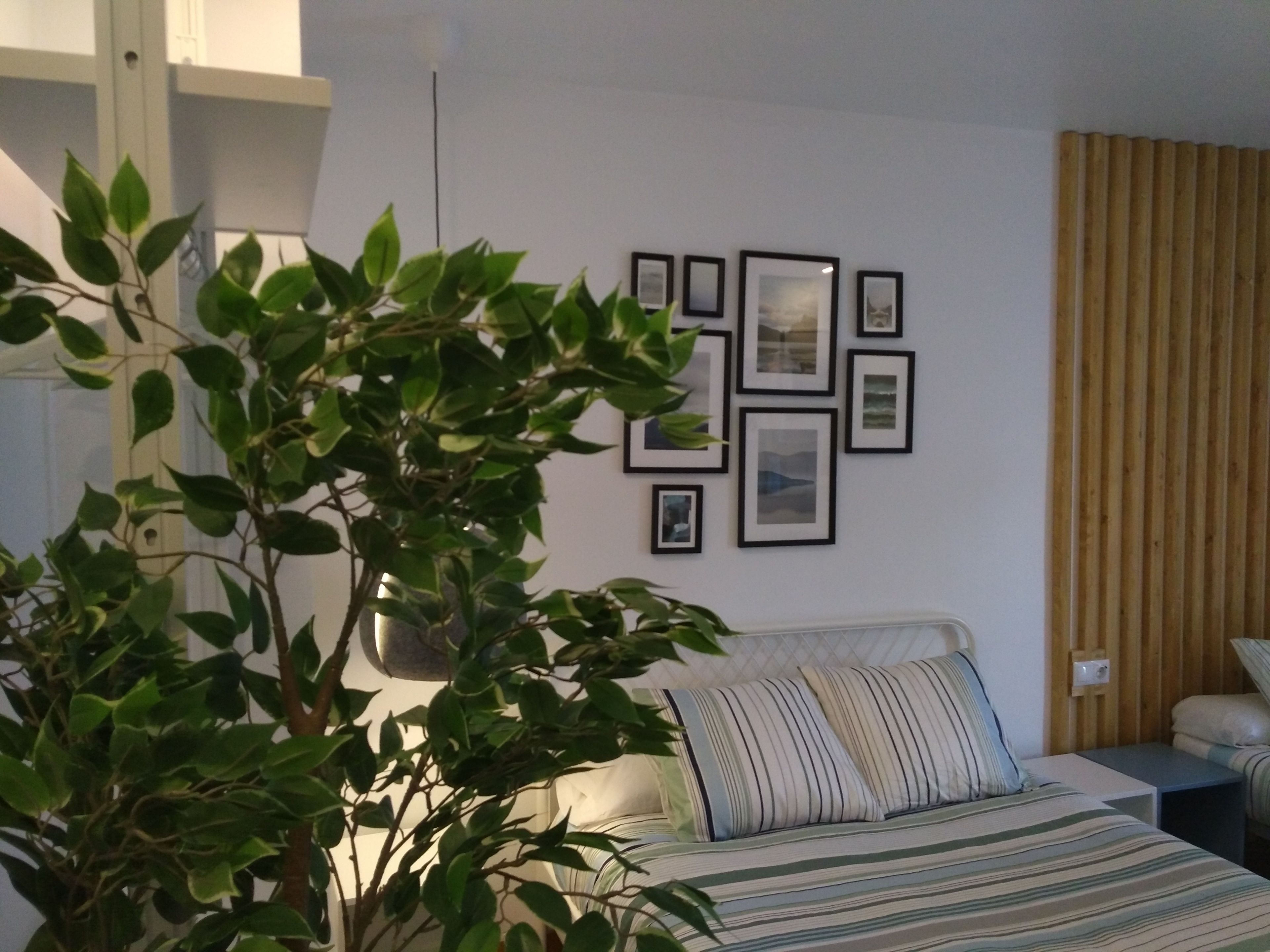A bedroom with a bed, a potted plant, a wall with framed pictures, and a window with blinds.