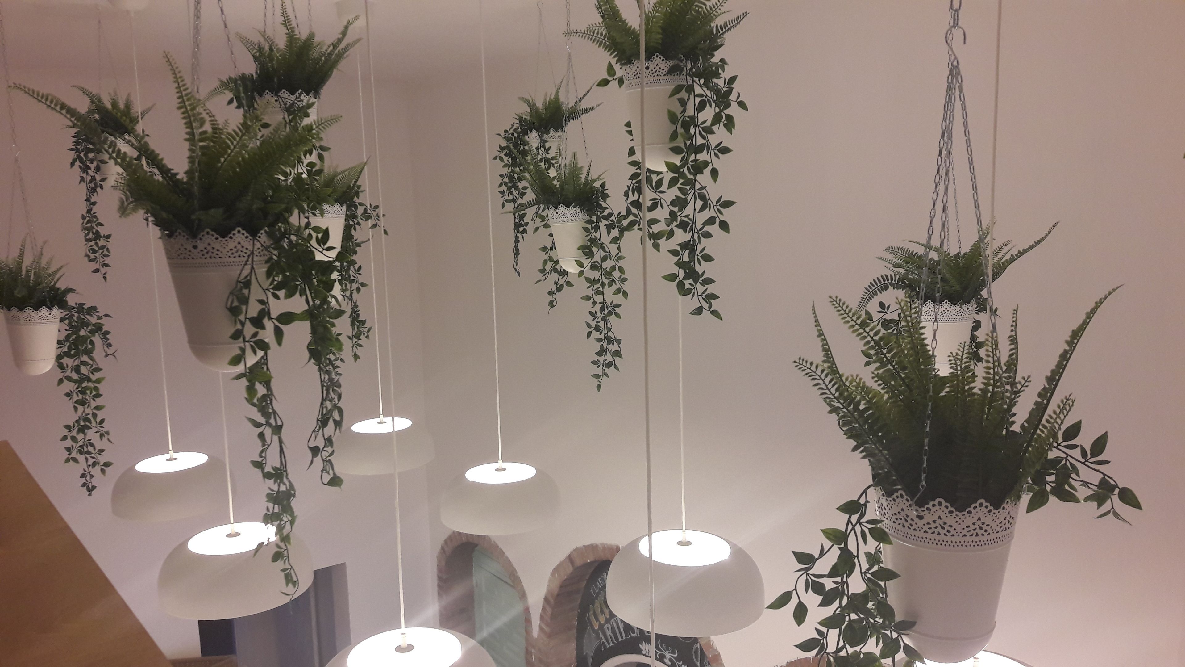 Multiple hanging planters with plants and pendant lights in a room.