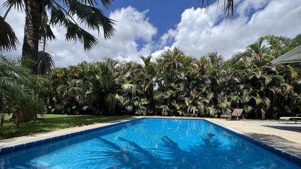 A rectangular swimming pool with clear blue water, surrounded by lush green palm trees and a grassy area. - Tropical Getaway!!!! (Jensen Beach)