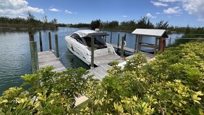 Een boot afgemeerd bij een houten steiger, met een overdekt gedeelte en weelderige begroeiing op de voorgrond.