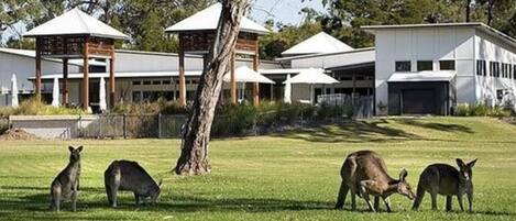 Overnattingsstedets uteområder