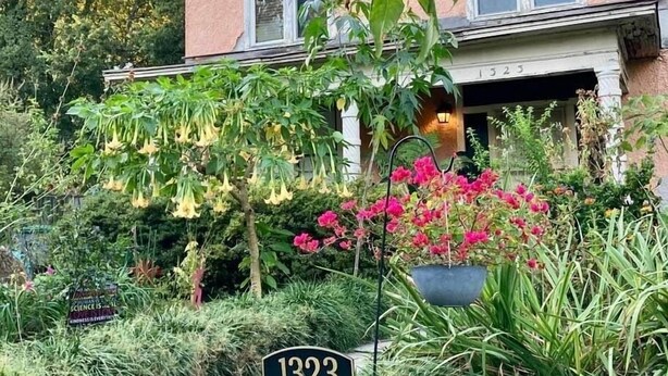 A house with a large porch, a hanging flower pot, and a sign with the number 1323. - Pegasus Lair Upper Floor Apt.NoPetFee, NoChores.Short Walk to Satellite Venue! (Memphis)