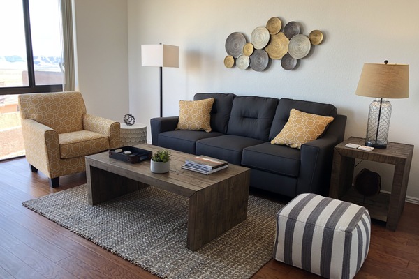 Living room with pull out sofa