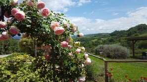 Exterior detail - Apartment VIOLA with pool, private garden and big terrace (Pergine Valdarno)