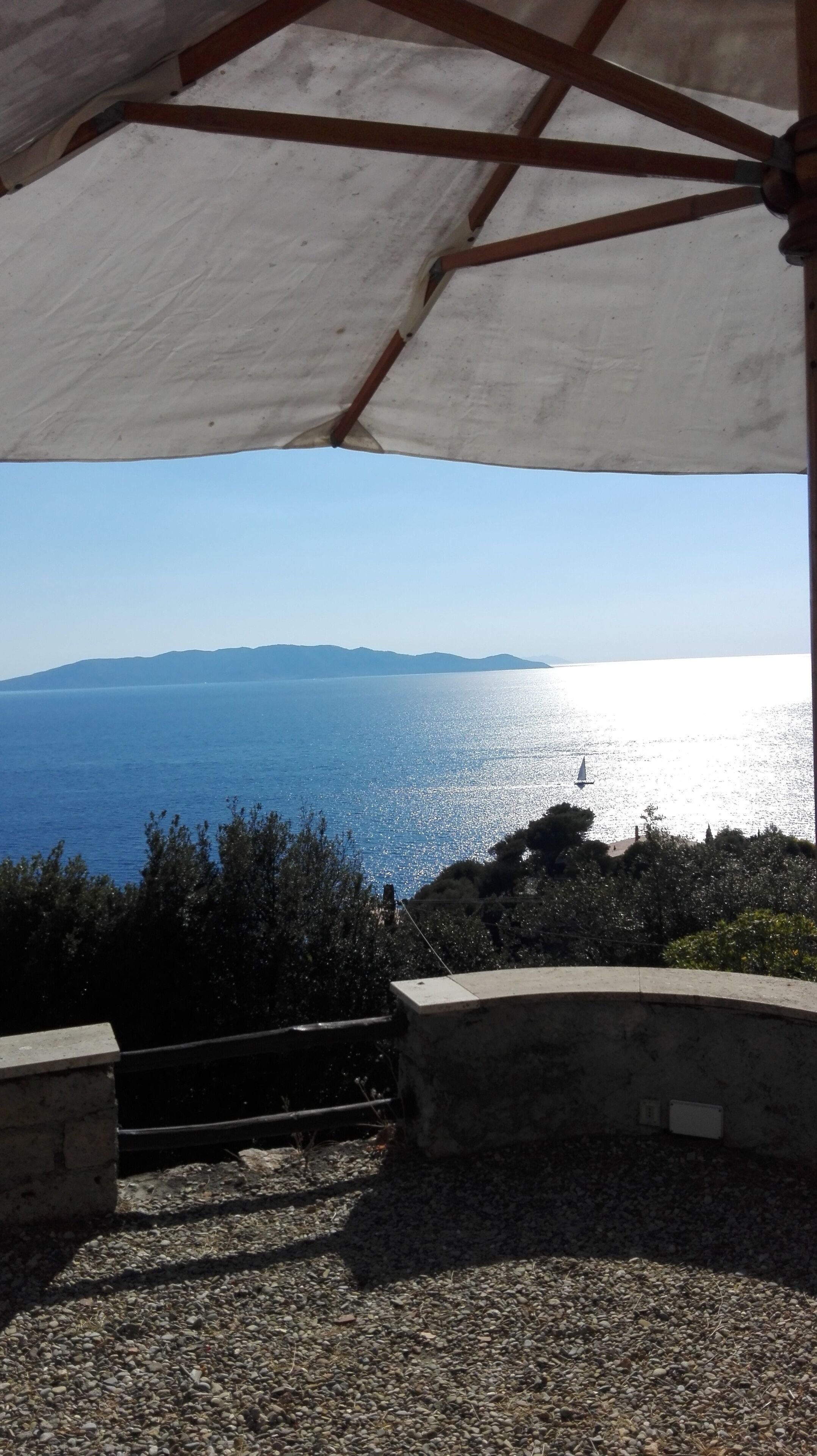 Dalla dependence. From the outhouse.