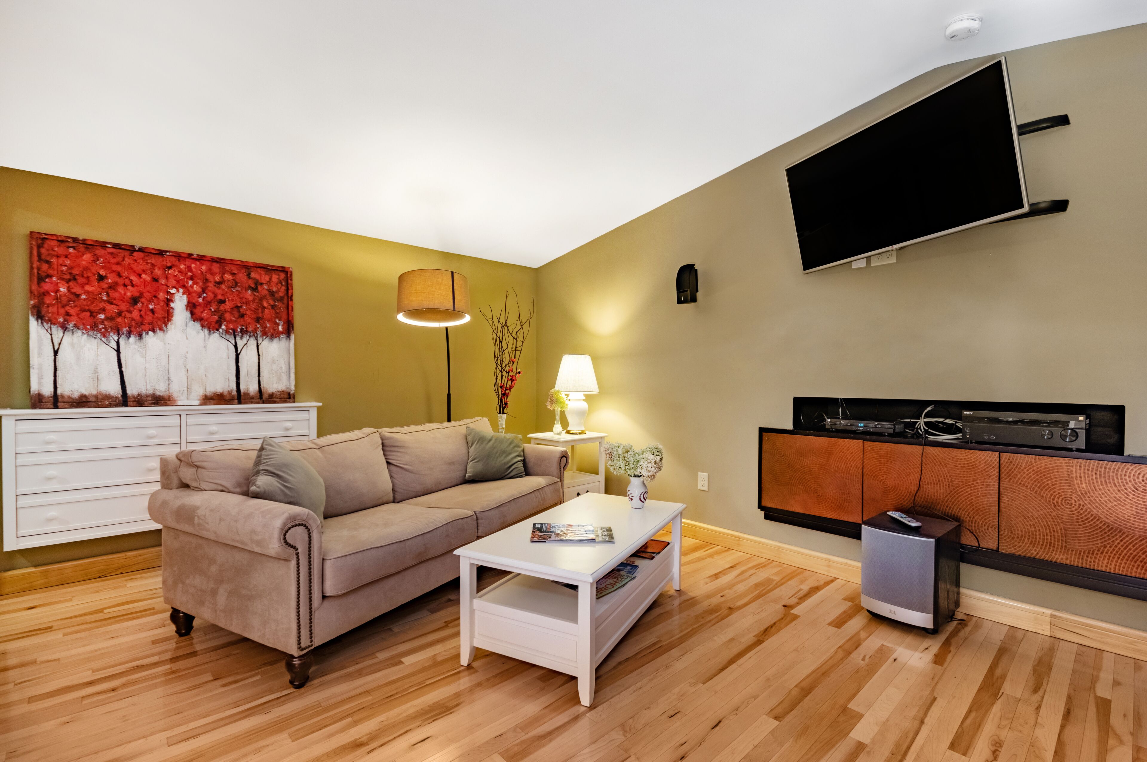 Smart TV, books, stereo