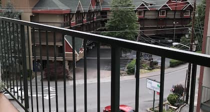 Downtown Gatlinburg Condo Walk to all the attractions in Downtown Gatlinburg!