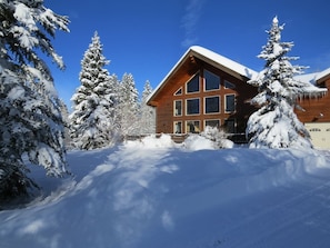 Una cabaña de madera con ventanas amplias, rodeada de árboles cubiertos de nieve.