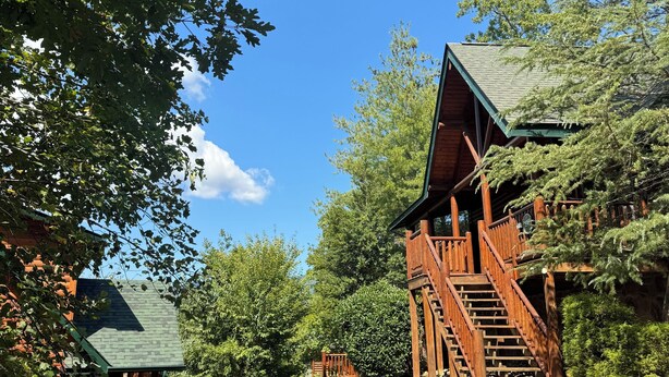 Une cabane en bois avec un escalier menant à une terrasse, entourée d’une végétation luxuriante et sous un ciel bleu azur.