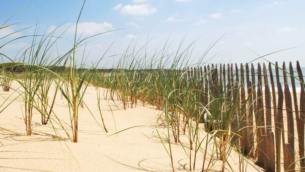 Ein Sandstrand mit hohem Gras und einem Holzzaun im Hintergrund.