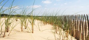 En sandstrand med højt græs og et træværk hegn i baggrunden.