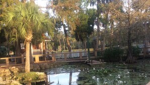 A pond with ducks, surrounded by trees and a wooden deck. - Romantic Spa Experience in Luxurious Creekside Honeymoon Cottage in the Landings (Steinhatchee)