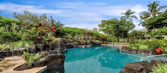 2026 Waikoloa Hilton pool pass included 6 guests daily, available through 2026!