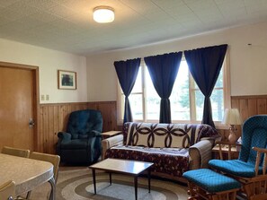 TV, fireplace, DVD player, books