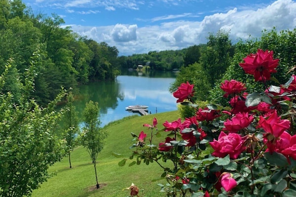 Peaceful cove, great place to dock your boat for the week.