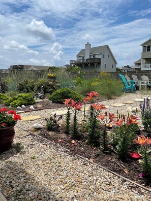 Terrein van de accommodatie