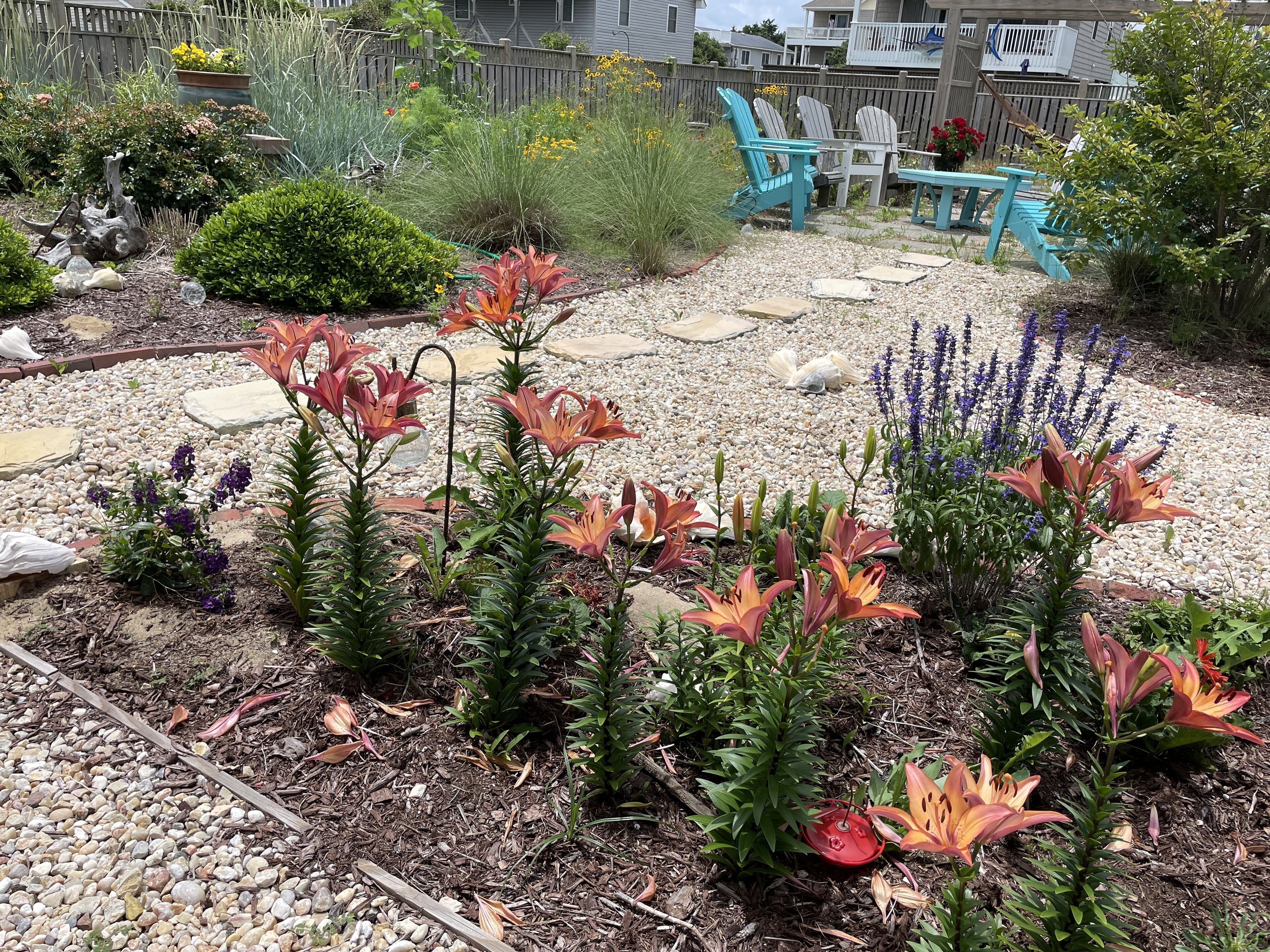 A garden with various plants and a patio area with chairs and a table.