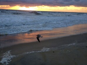 Sur la plage, chaise longue, serviettes de plage
