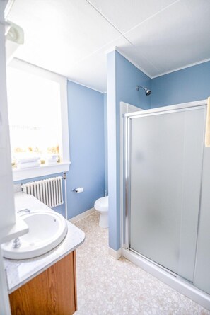 Regadera, secadora de cabello, toallas, jabón 