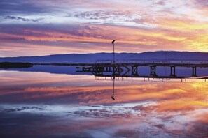 Beach - Port Pirie Accommodation and Apartments (Risdon Park)