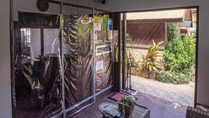 Unclassified image, 3 of 53, button - OYO 709 Telesfora Beach Cottage (El Nido)