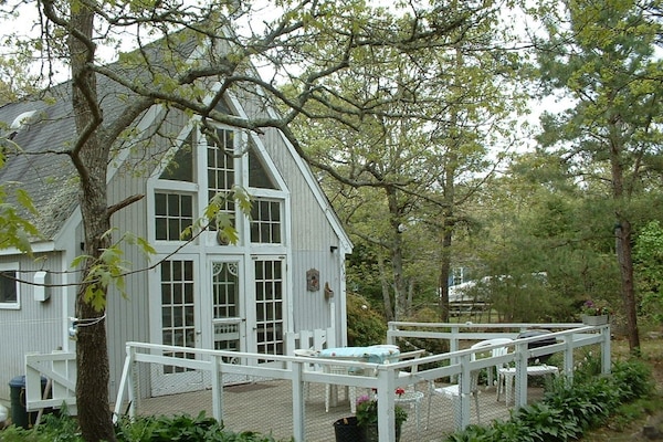 テラス / パティオ