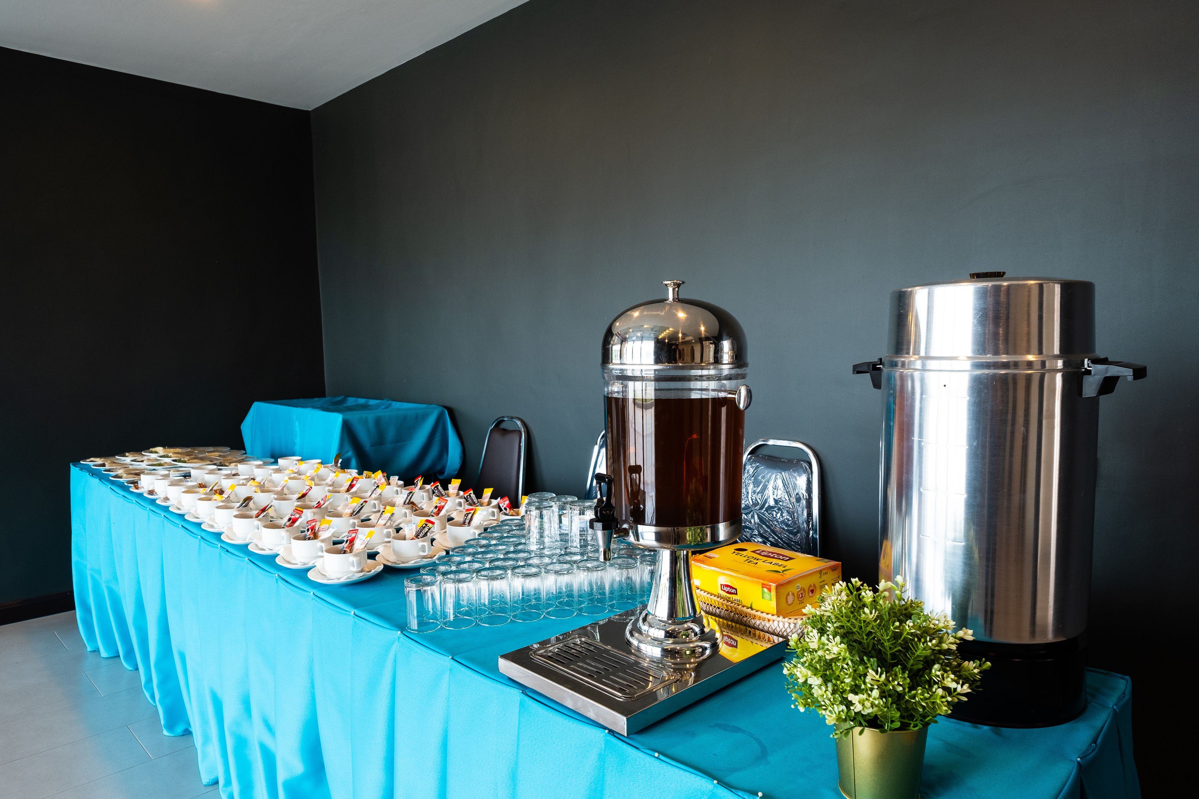 A buffet table with a coffee station, a box of napkins, and a potted plant.