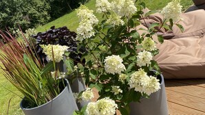 En trädgård med vita blommor och en träaltan.