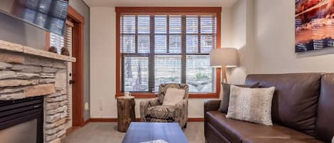 Smart-tv, pejs, dvd-afspiller, bøger