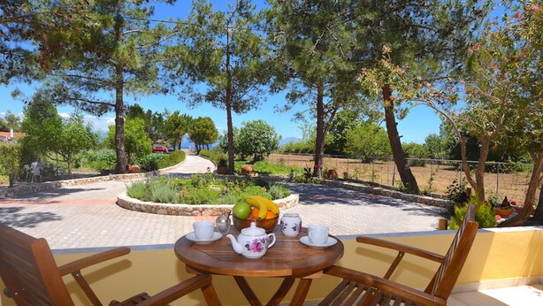 A round wooden table with four chairs, a fruit bowl, and a teapot on a patio with a view of trees and a distant landscape. - Alexandra Apartments (Corfu)