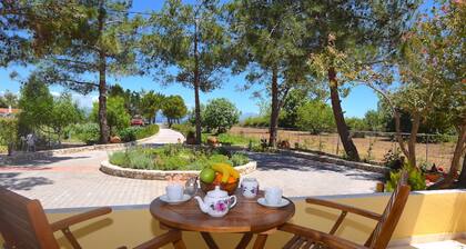 Alexandra Apartments