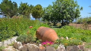 A rustic outdoor setting with a large clay pot, surrounded by various plants and flowers. - Alexandra Apartments (Corfu)