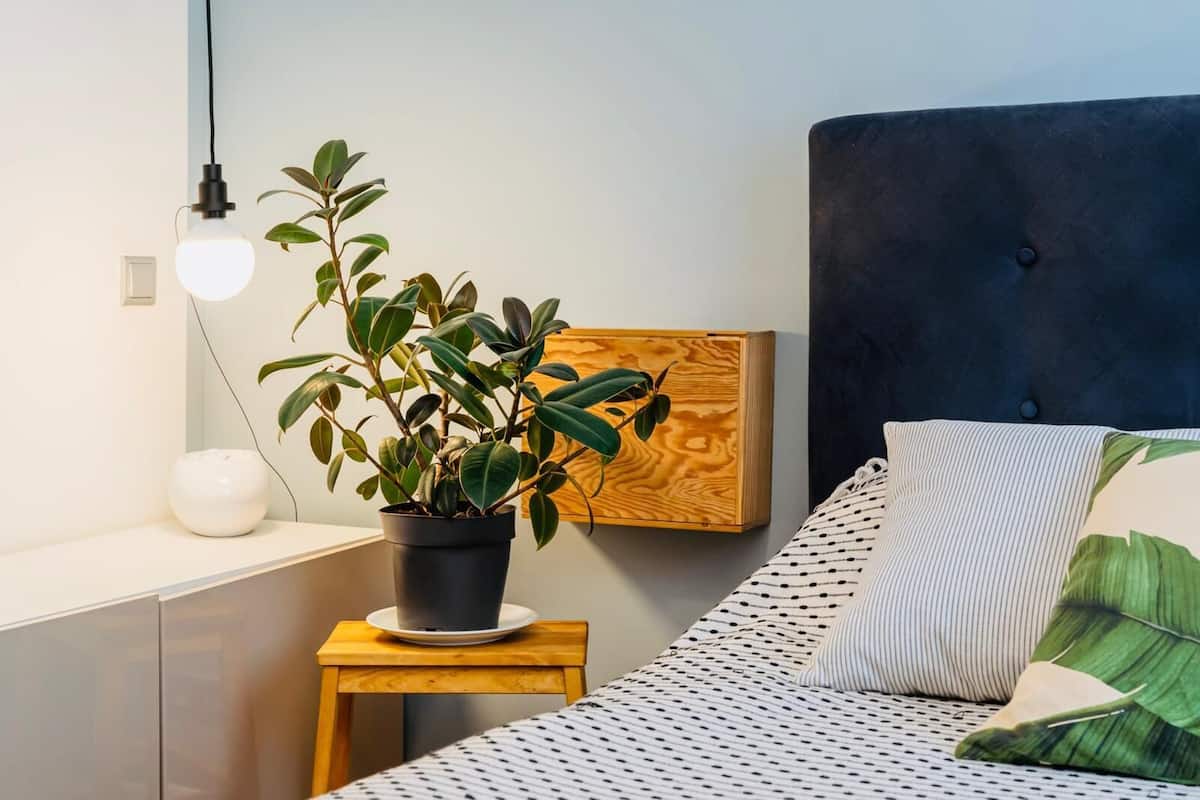 Sunny Studio 14.3 | Wohnbereich | LED-Fernseher