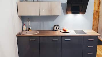 Deluxe apartment 11.5 | Eigene Kochnische | Kühlschrank, Herdplatte