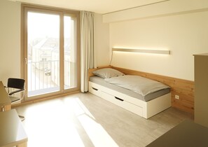 Desk, laptop workspace, iron/ironing board, free WiFi - campus apartments (Goettingen)