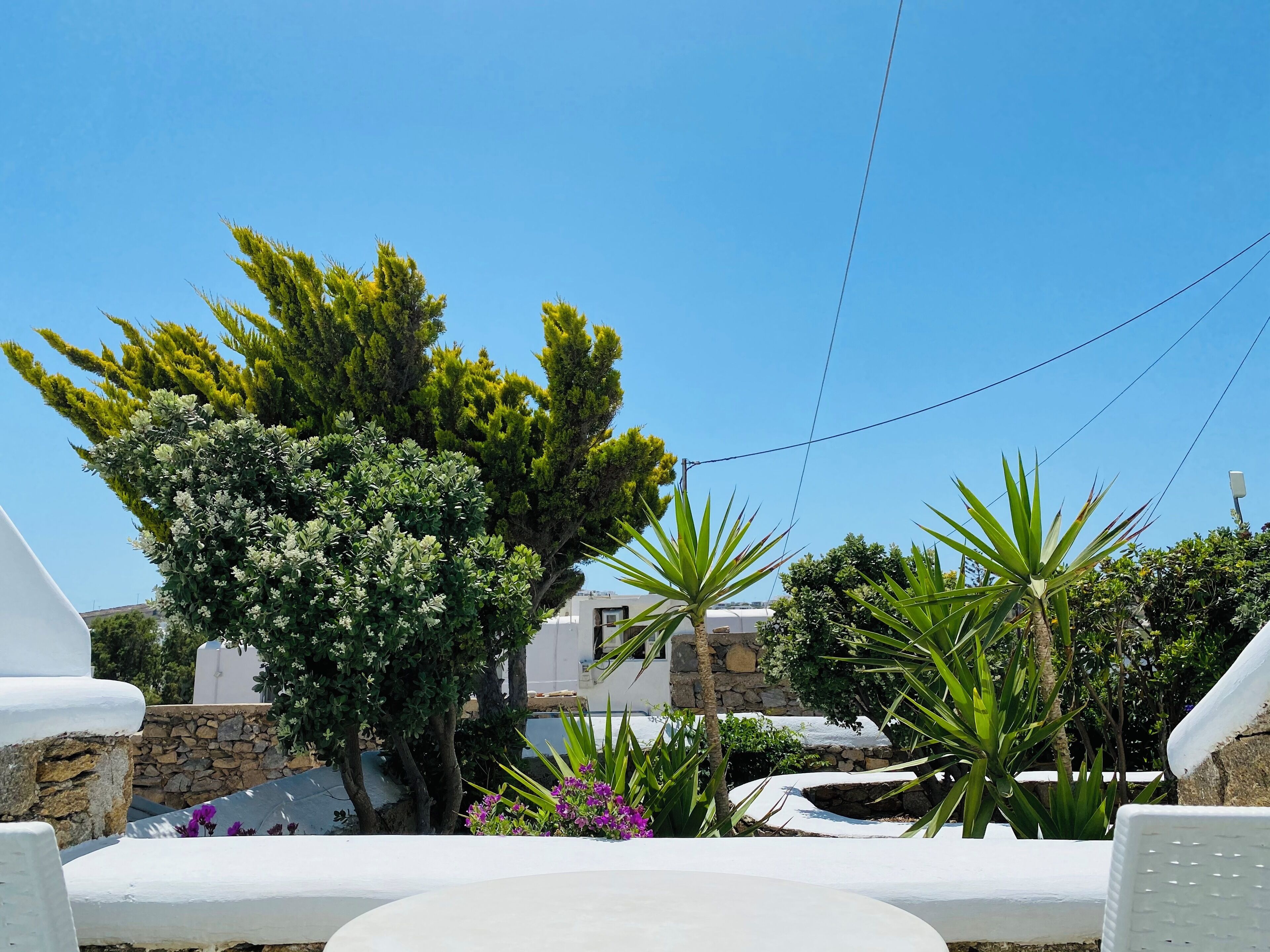 Foto - Eleftheria Hotel & Apartments