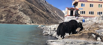 Thanka Inn Gokyo